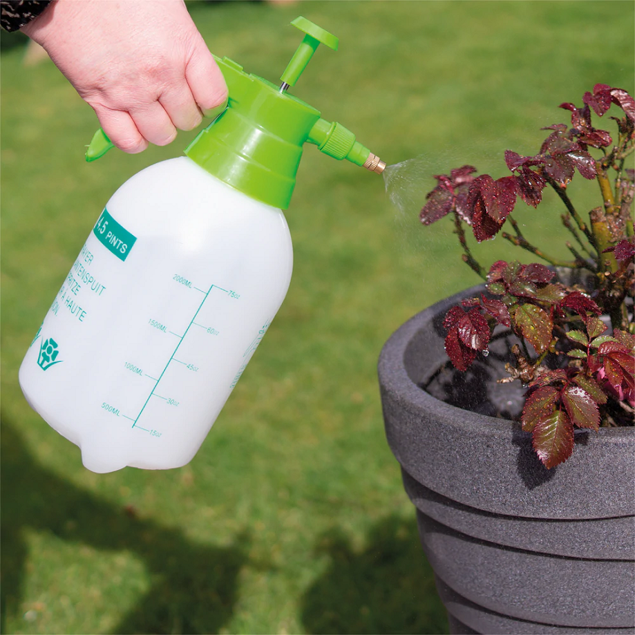 Home and Garden Pump Action Mini Pressure Sprayer in use, watering plants