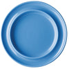 A view from above of the blue Steelite blue plate
