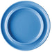 A view from above of the blue Steelite blue plate