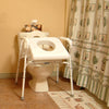 Uplift Commode Assist - fitted in bathroom