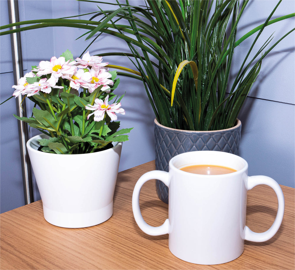 The Two Handled Mug next to a potted plant and a potted flower, on a wooden table.