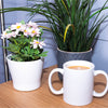 The Two Handled Mug next to a potted plant and a potted flower, on a wooden table.