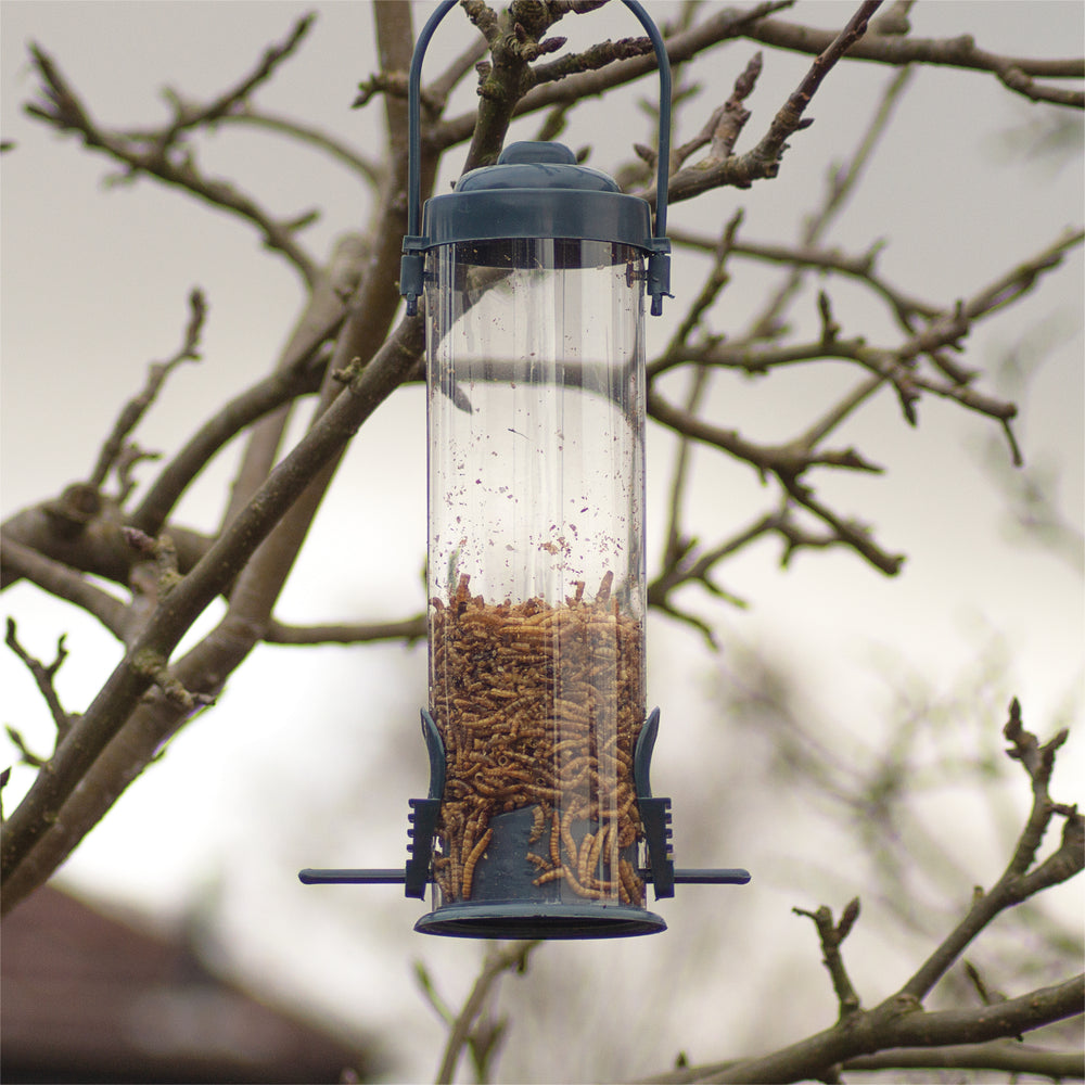 Hanging Bird Feeder