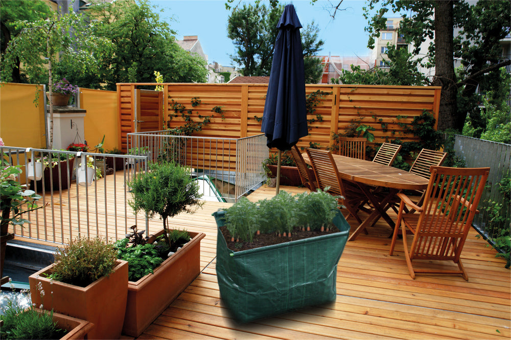 Carrot Planter in garden