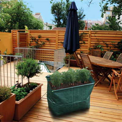 Carrot Planter in garden