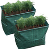Carrot Planter Pack Of 2