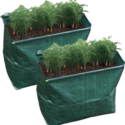 Carrot Planter Pack Of 2