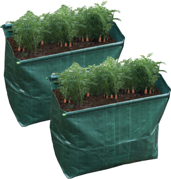 Carrot Planter Pack Of 2