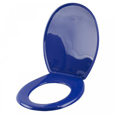 Blue Coloured Toilet Seat