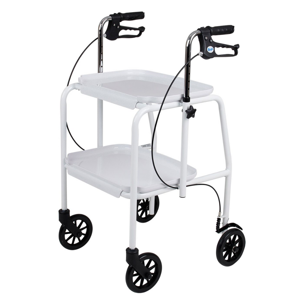 Trolley Zimmer Walker