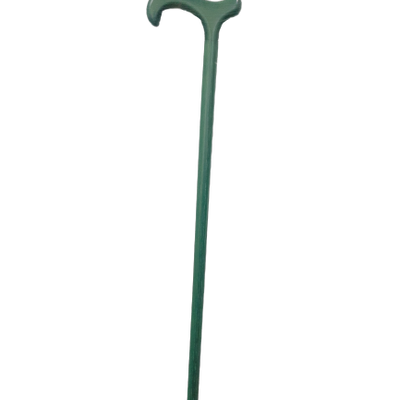 the image shows the classic canes jewel green beech cane
