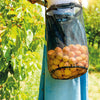 Harvest Bag - in use, filled with fruit