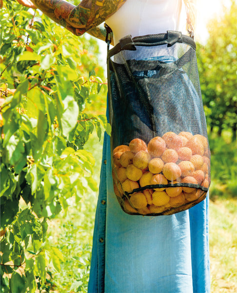 Harvest Bag - in use, filled with fruit