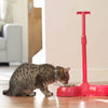 No Bend Pet Bowl in use in house with a cat having their dinner out of it