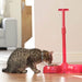 No Bend Pet Bowl in use in house with a cat having their dinner out of it