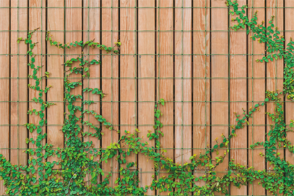 Garden Netting on wooden fence with climbing plant