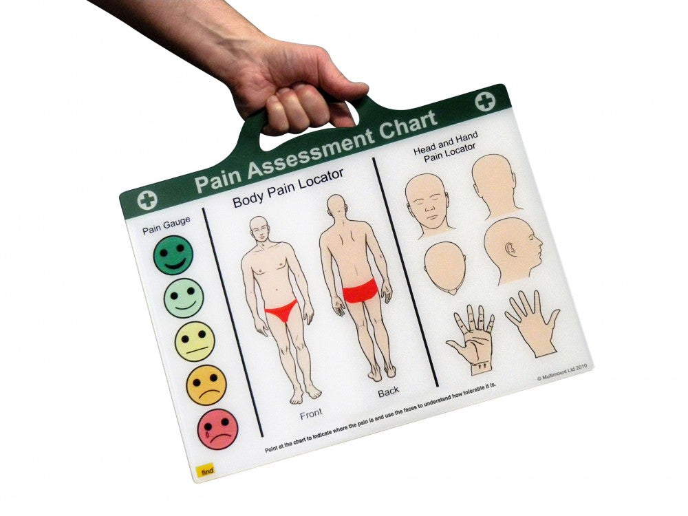 The Pain Assessment Chart