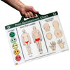 The Pain Assessment Chart