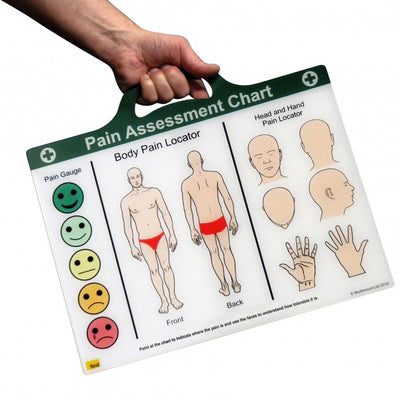 The Pain Assessment Chart