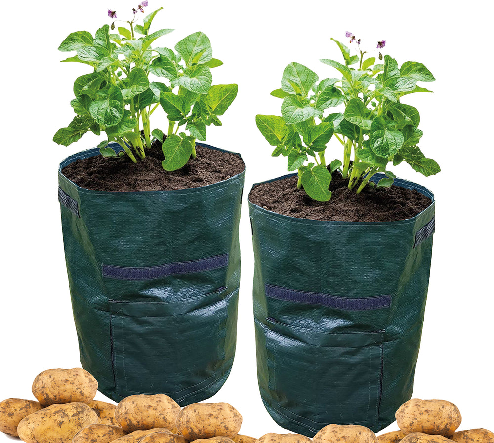 Potato Grow Bag - Pack Of 2