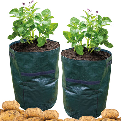 Potato Grow Bag - Pack Of 2