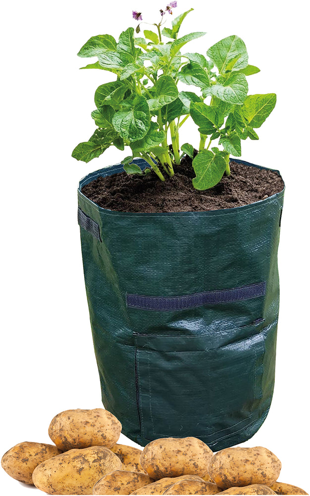 Potato Grow Bag - Pack Of 2