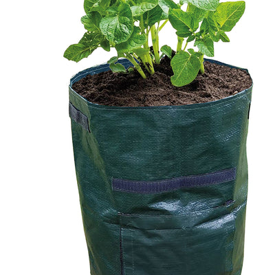 Potato Grow Bag - Pack Of 2