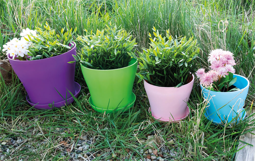 Plastic Plant Pots - Purple, Green, Pink and Blue