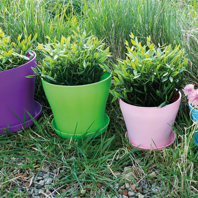 Plastic Plant Pots - Purple, Green, Pink and Blue