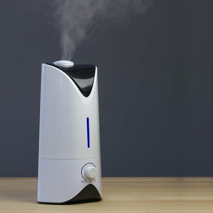 the image shows the lifemax professional humidifier in use