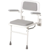 shows the padded wall mountd seat with back and arms - standard seat