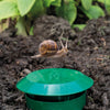 garden Aid Slug and Snail Traps Beer Traps