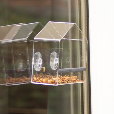 Gardening aid - Bird feeder with suction cups