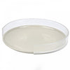 The Clear Plate Guard