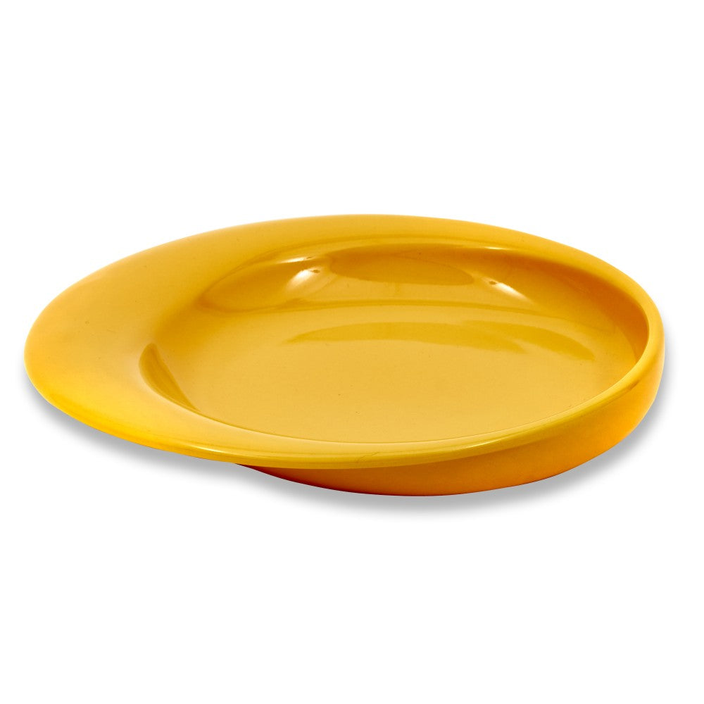 the image shows the wade dignity plate in yellow